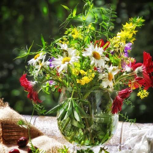 Photo #13715269