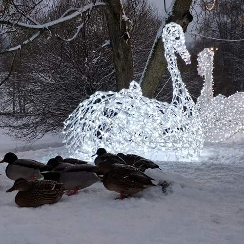 Photo #13715402