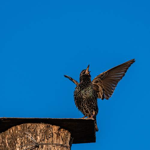 Photo #13715447