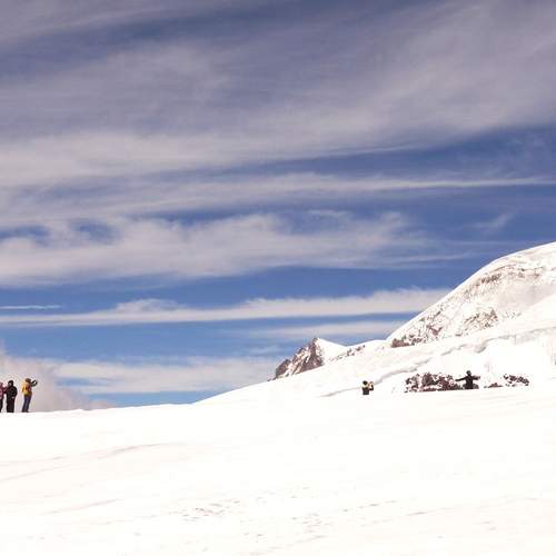 Photo #13715507