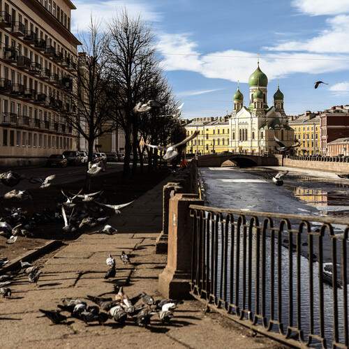 Photo #13715521