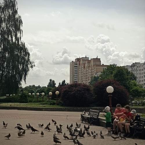 Photo #13715529
