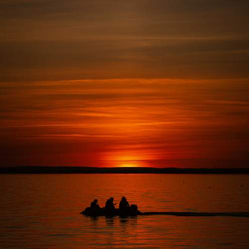 Photo #13715556