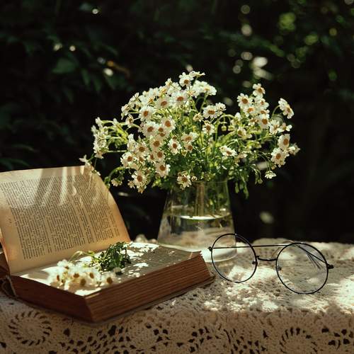 Photo #13715582
