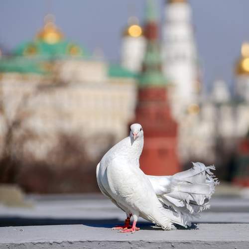 Лариса Рулёва