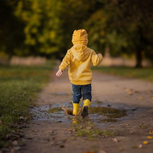 Photo #13715590