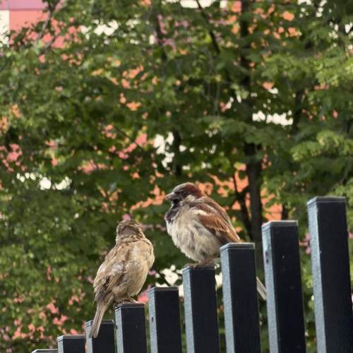 Photo #13715599
