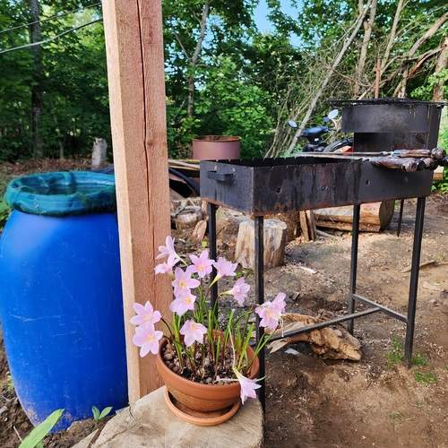 Photo #13715752