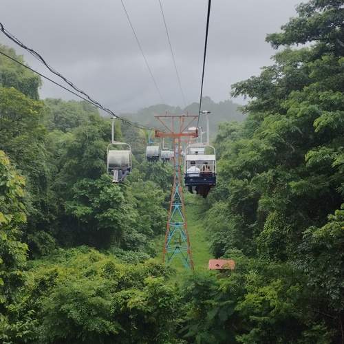 Photo #13715762