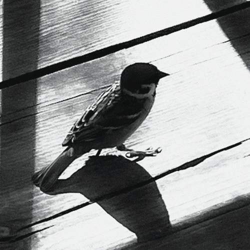 Photo #13715767