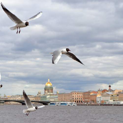 Photo #13715847