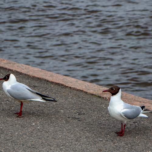 Photo #13715849