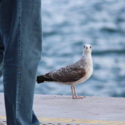 Photo #13715874