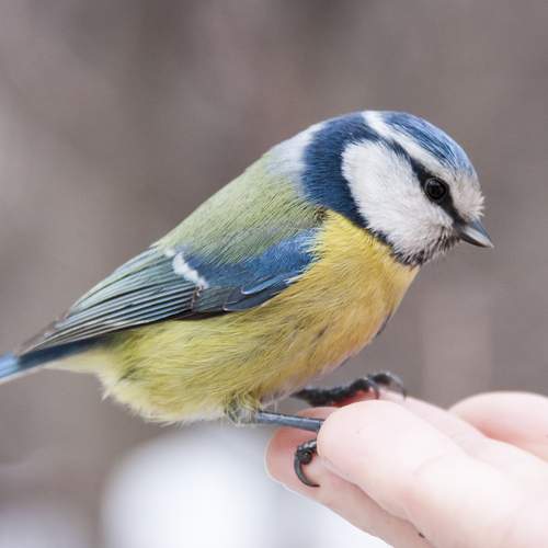 Photo #13715985