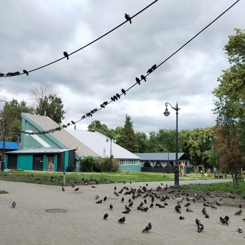 Photo #13716030