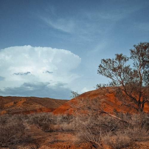 Photo #13716101