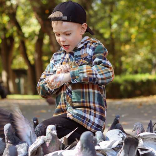 Photo #13716118