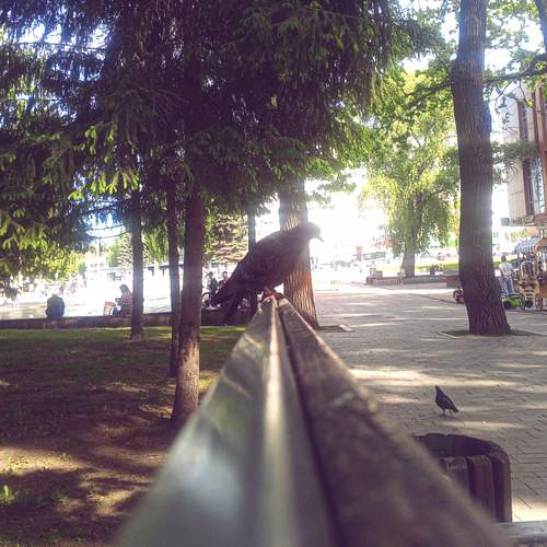 Photo #13716234