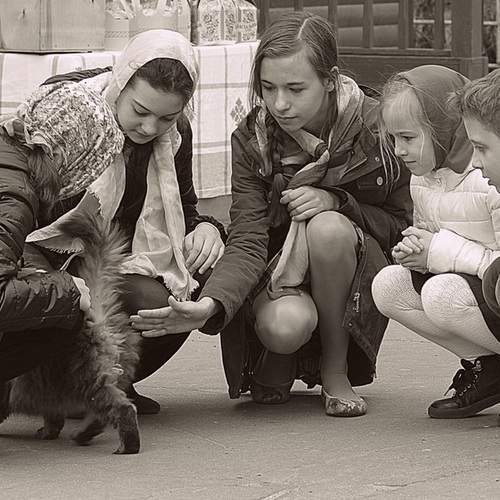 Photo #13716264