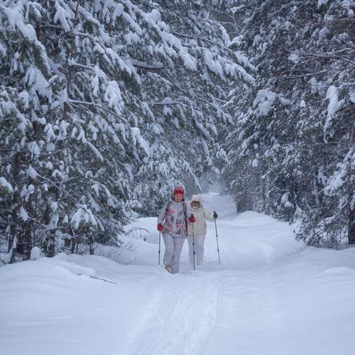 Photo #13716309