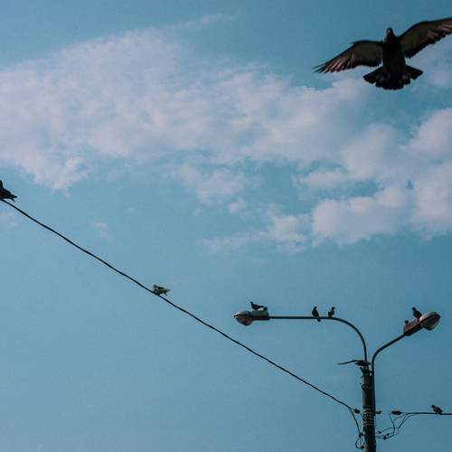 Photo #13716312