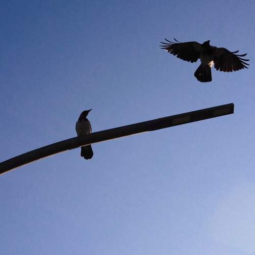 Photo #13716314