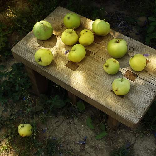 Photo #13716388