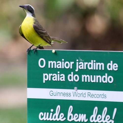Photo #13716404