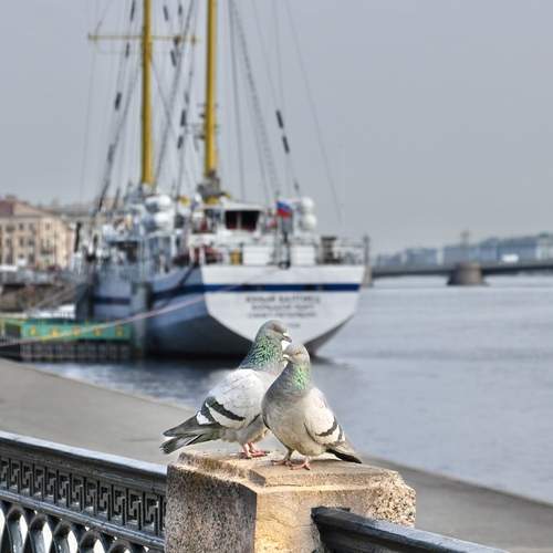 Photo #13716499