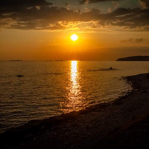 Photo #13716682