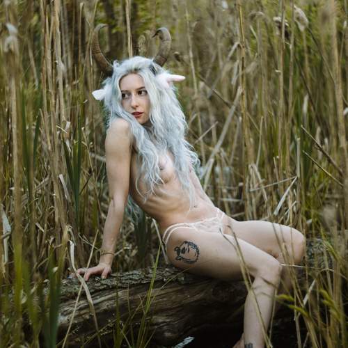 Photo #13716727