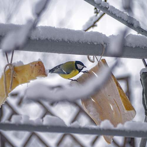 Photo #13716730