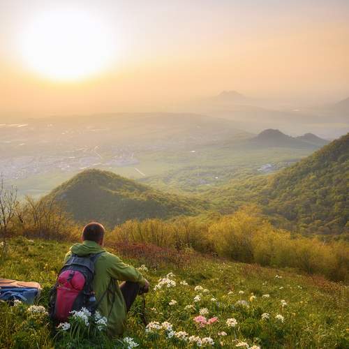 Photo #13716746