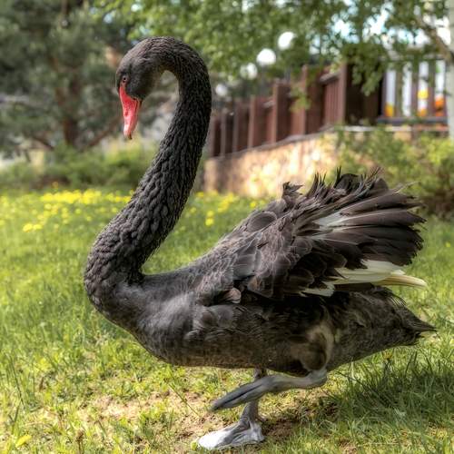 Photo #13716796