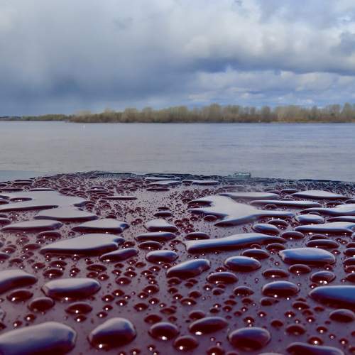 Photo #13716866