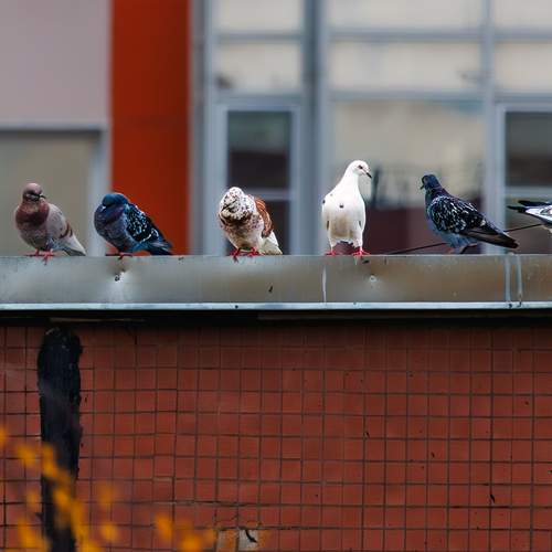 Photo #13716929