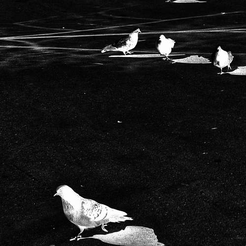 Photo #13716950