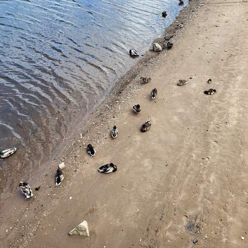 Photo #13716968