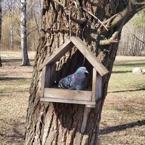 Photo #13716982