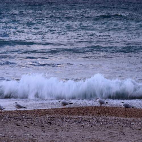 Photo #13716995