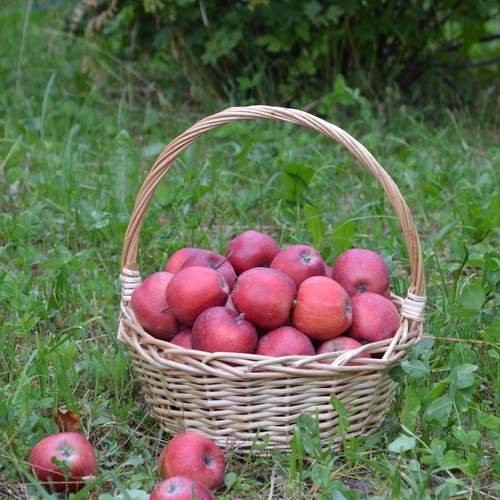 Photo #13717005