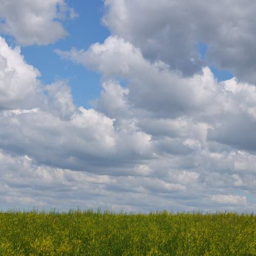 Photo #13717009