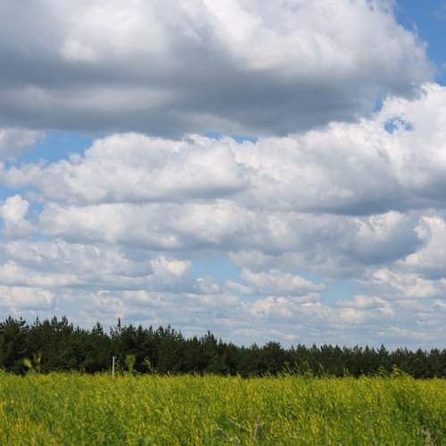 Photo #13717010