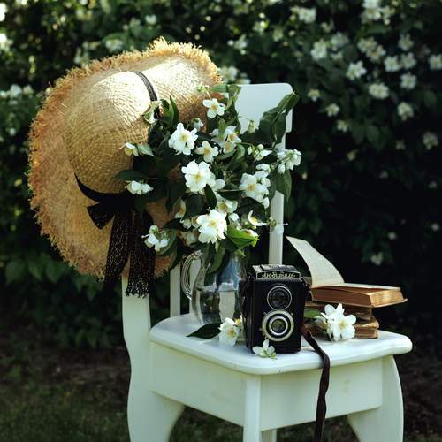 Photo #13717044