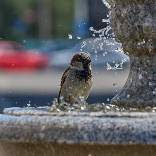 Photo #13717075