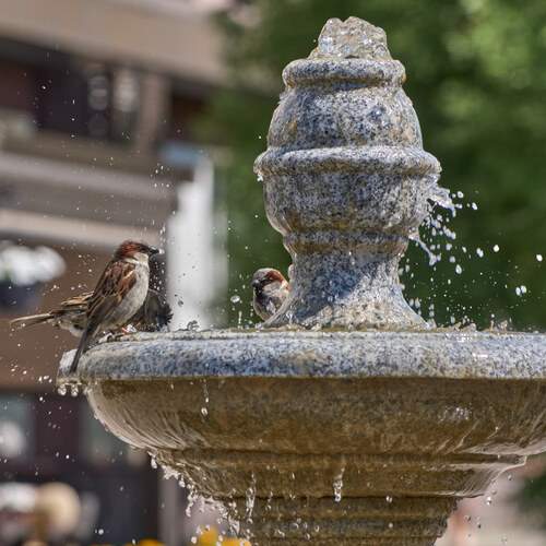 Photo #13717076