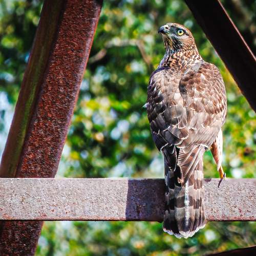 Photo #13717095