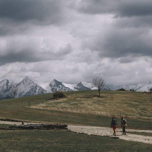 Photo #13717100