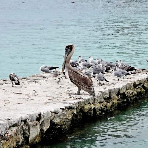 Photo #13717109