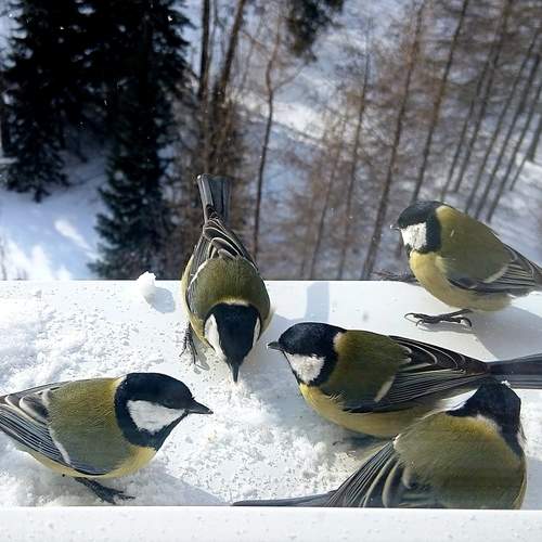 Photo #13717117
